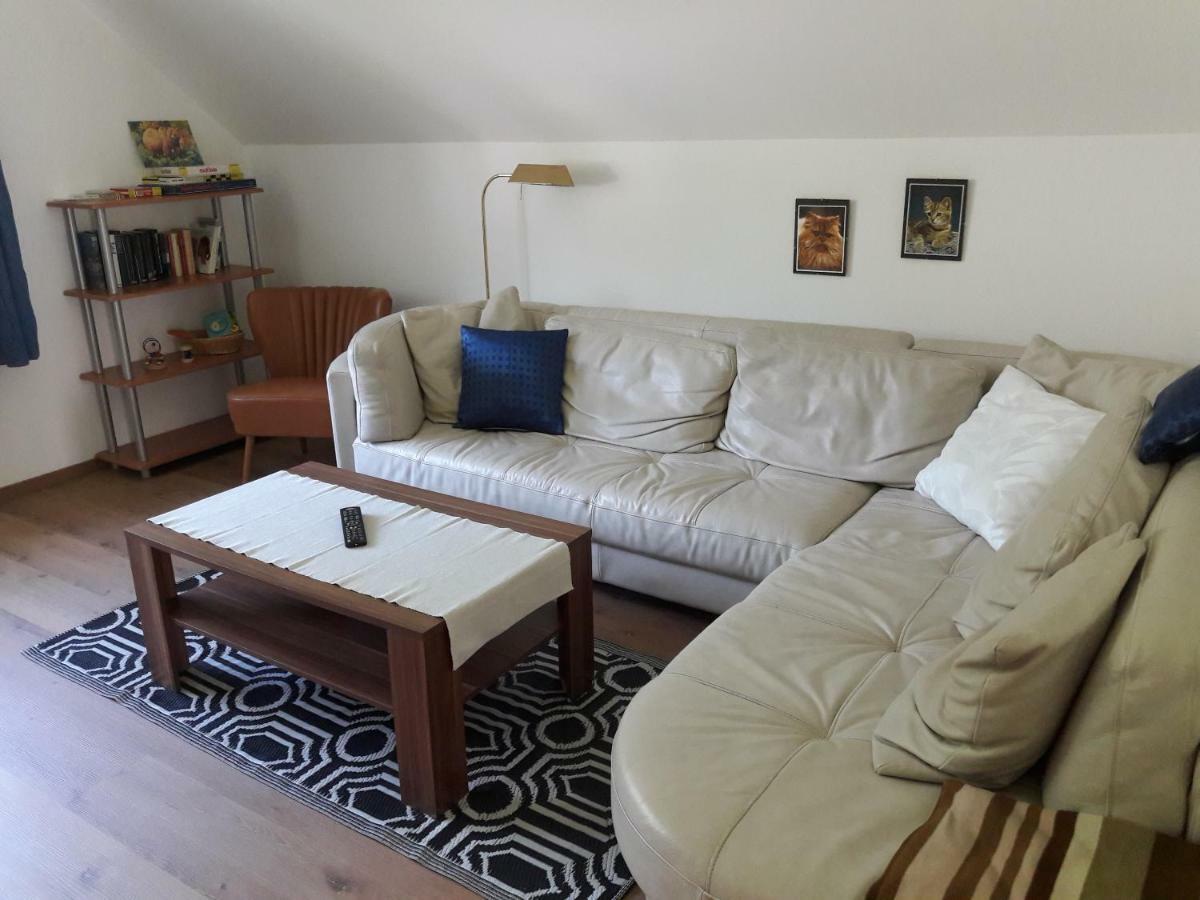 Apartment Sandra Obertraun Extérieur photo