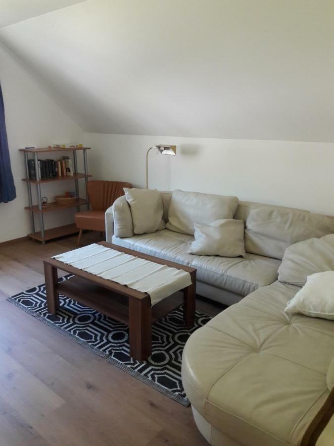 Apartment Sandra Obertraun Extérieur photo